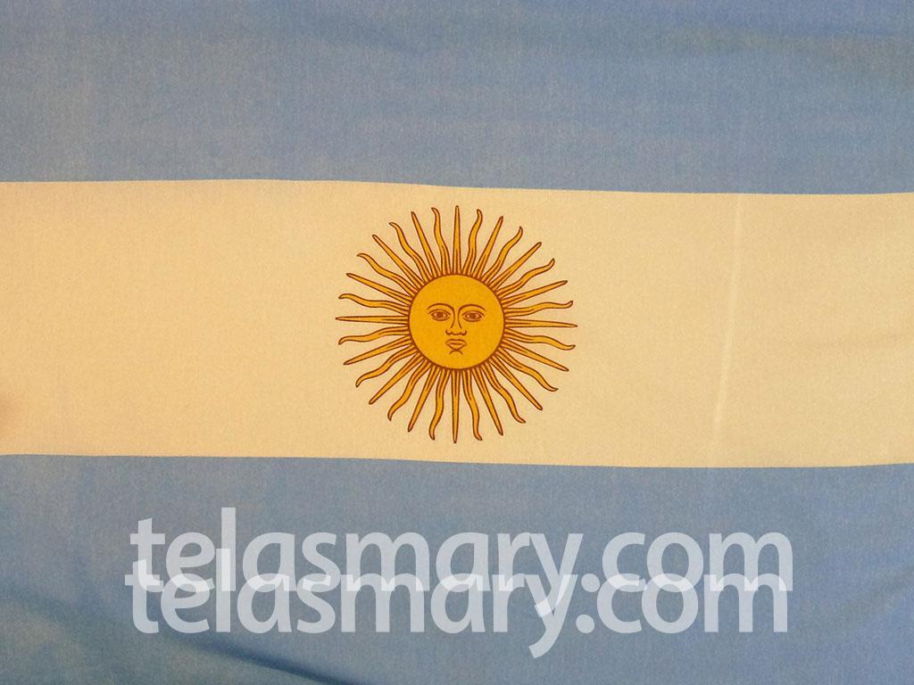Bandera Argentina con sol